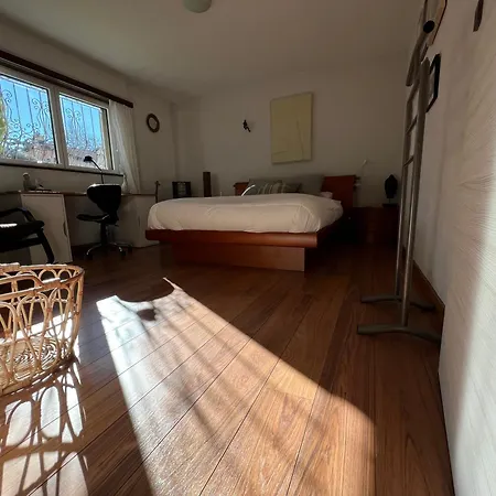 The Comfy 度假居