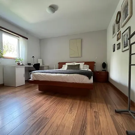 度假居 The Comfy *