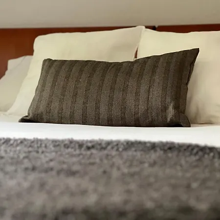 度假居 The Comfy Ponte Capriasca